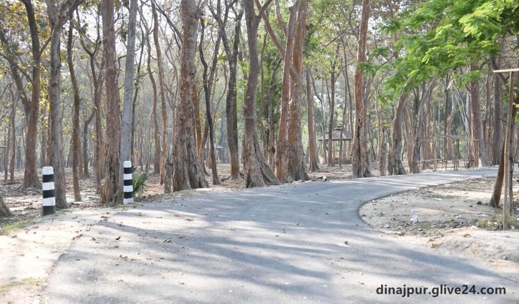 দিনাজপুর জেলার গণমাধ্যম