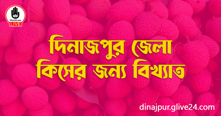 দিনাজপুর জেলা কিসের জন্য বিখ্যাত