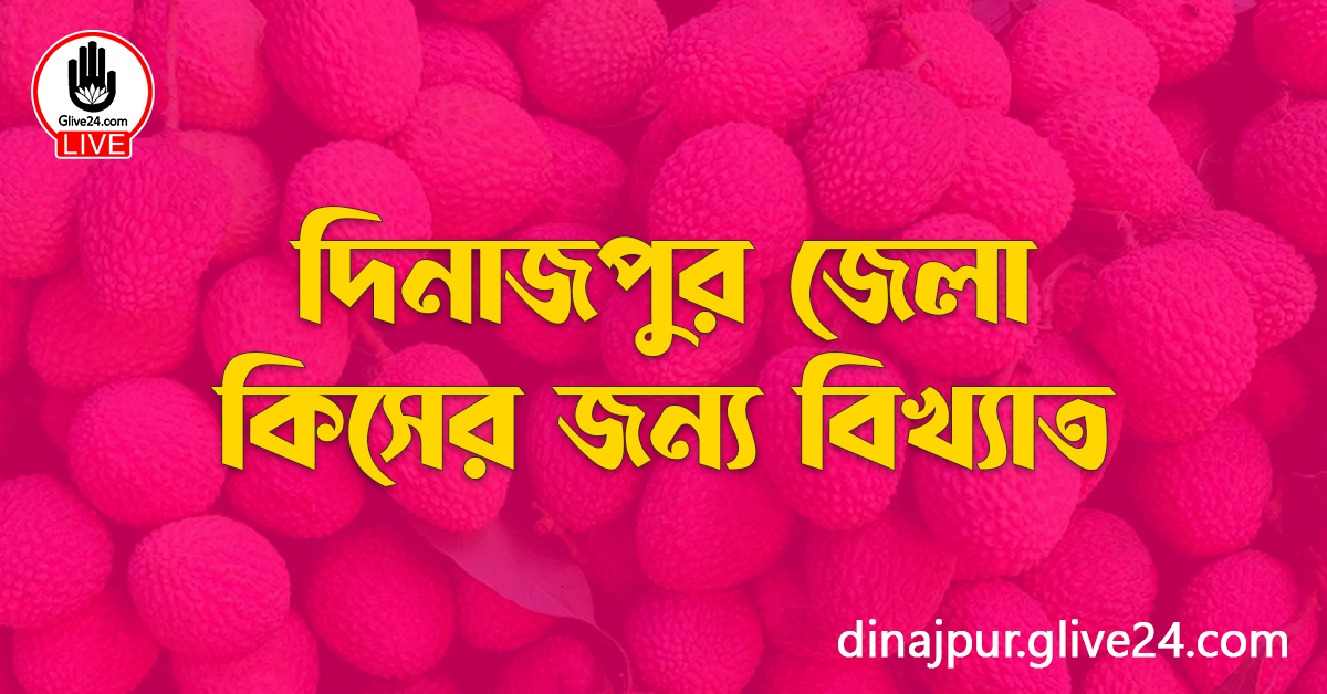 দিনাজপুর জেলা কিসের জন্য বিখ্যাত