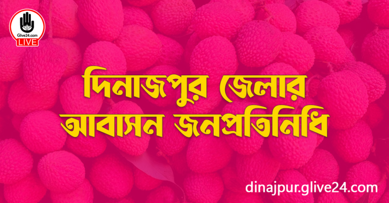 দিনাজপুর জেলার জনপ্রতিনিধি