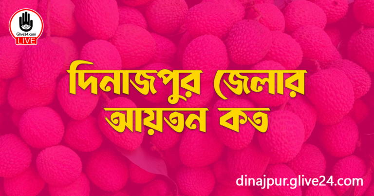 দিনাজপুর জেলার আয়তন কত