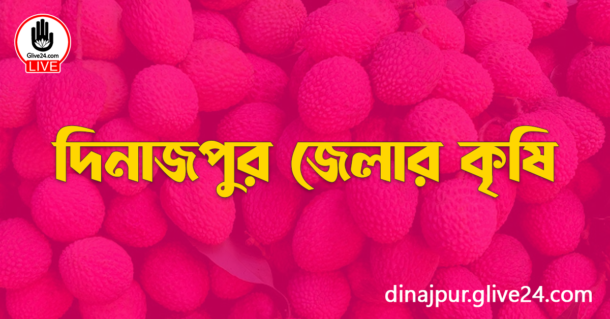 দিনাজপুর জেলার কৃষি