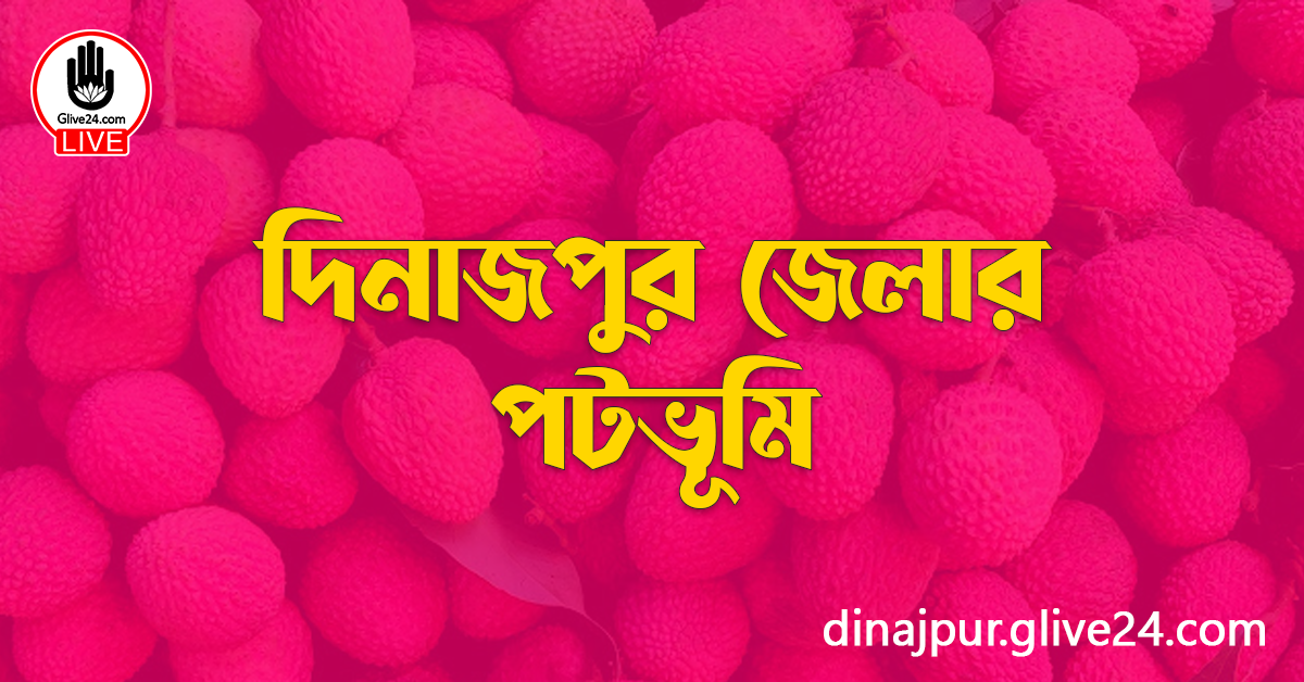 দিনাজপুর জেলার পটভূমি