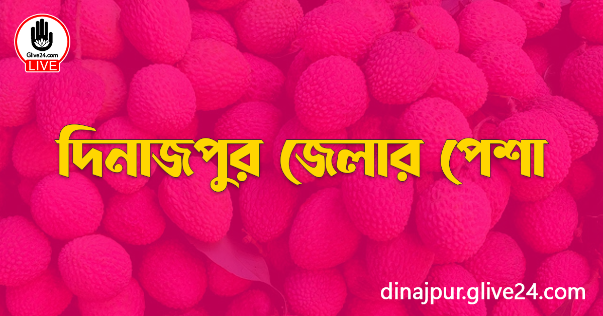 দিনাজপুর জেলার পেশা