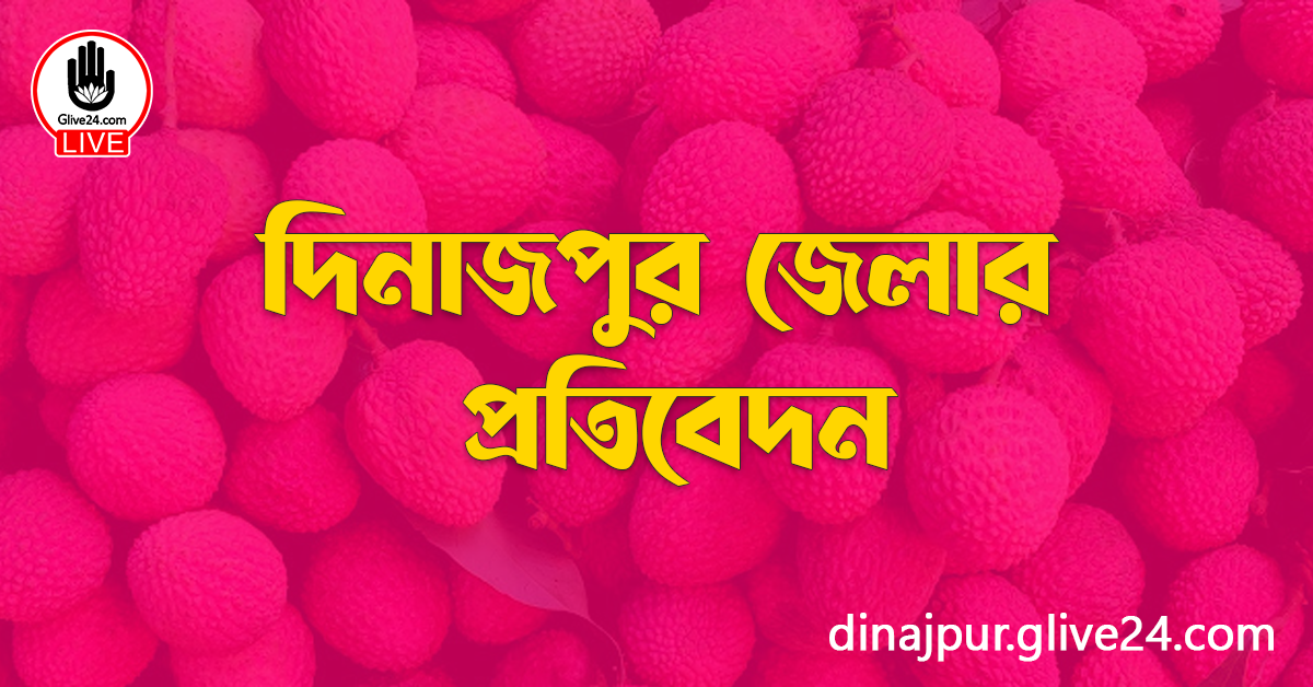 দিনাজপুর জেলার প্রতিবেদন