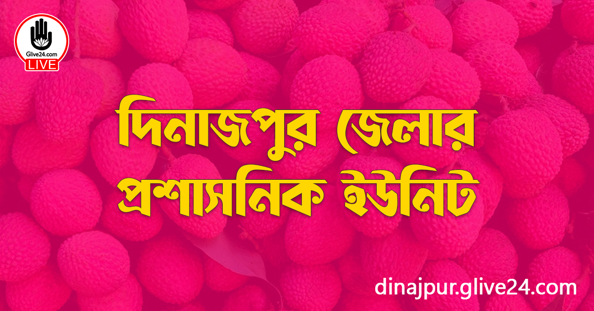 দিনাজপুর জেলার প্রশাসনিক ইউনিট