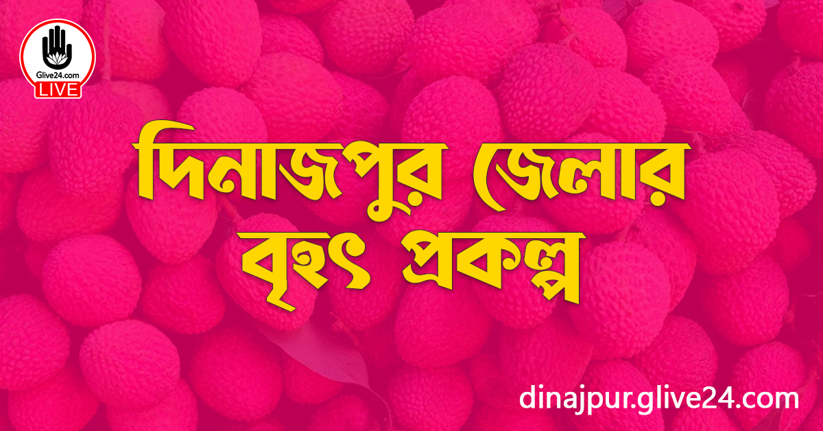 দিনাজপুর জেলার বৃহৎ প্রকল্প