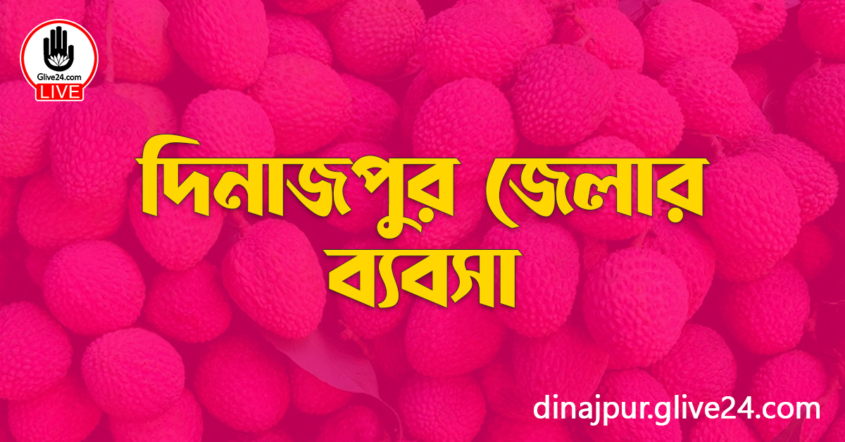 দিনাজপুর জেলার ব্যবসা