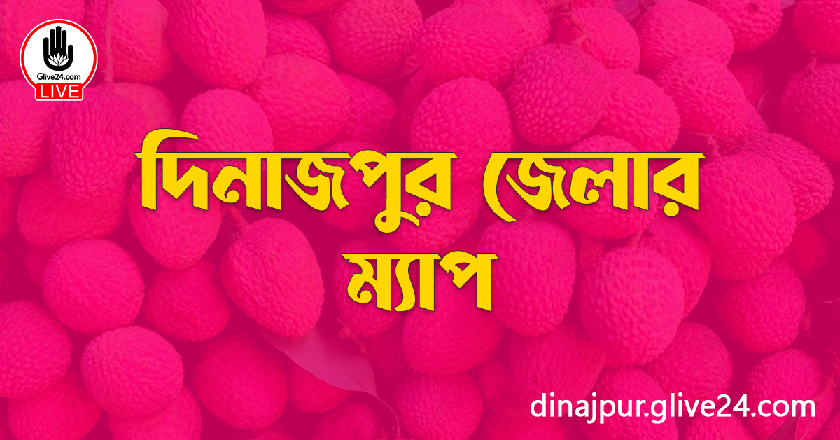 দিনাজপুর জেলার ম্যাপ