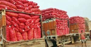 ভারত থেকে পেঁয়াজ আমদানি সরকারের অনুমতি পেলেই